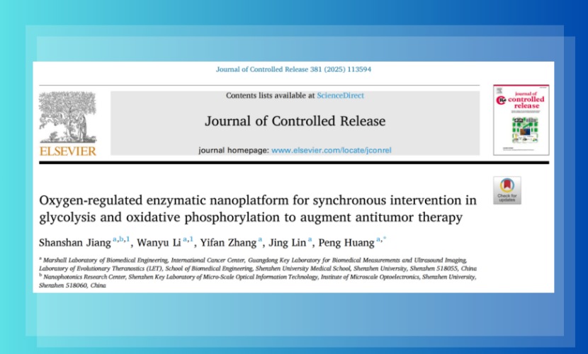 醫學部黃鵬教授團隊發表雙能量代謝途徑同步干預抗腫瘤治療研究成果